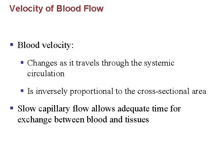 Velocity of Blood Flow § Blood velocity: § Changes as it travels through the