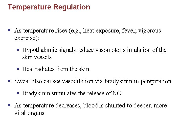 Temperature Regulation § As temperature rises (e. g. , heat exposure, fever, vigorous exercise):