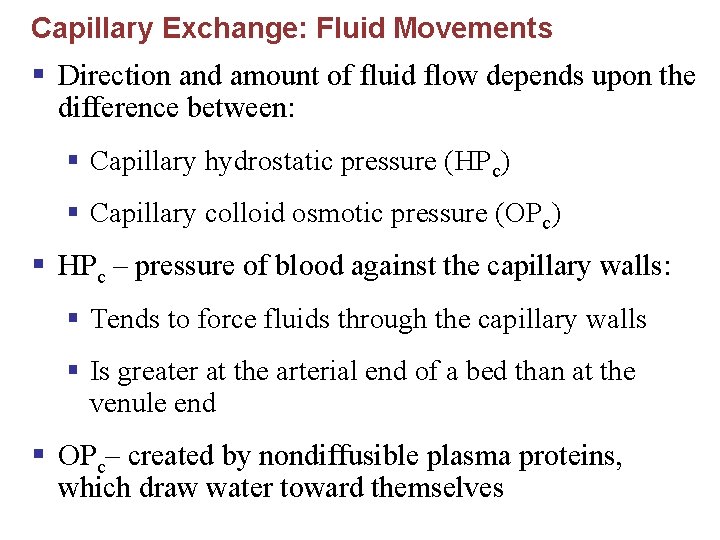 Capillary Exchange: Fluid Movements § Direction and amount of fluid flow depends upon the