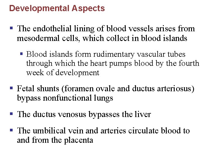 Developmental Aspects § The endothelial lining of blood vessels arises from mesodermal cells, which