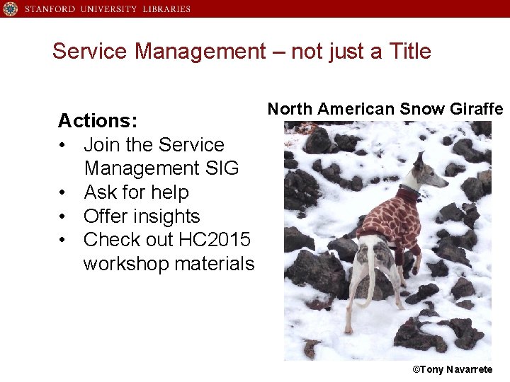 Service Management – not just a Title Actions: • Join the Service Management SIG