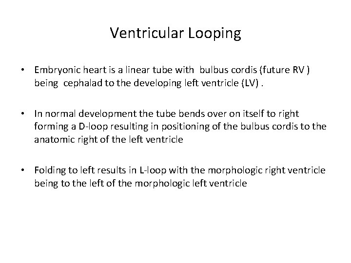 Ventricular Looping • Embryonic heart is a linear tube with bulbus cordis (future RV