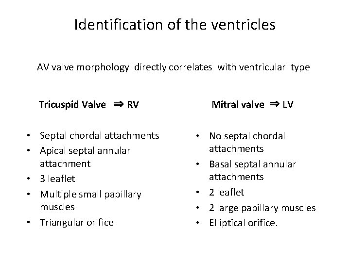 Identification of the ventricles AV valve morphology directly correlates with ventricular type Tricuspid Valve