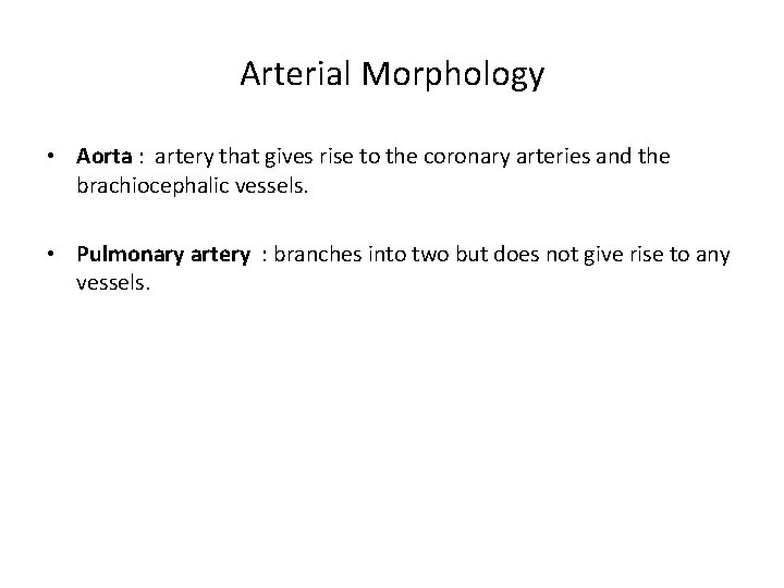Arterial Morphology • Aorta : artery that gives rise to the coronary arteries and