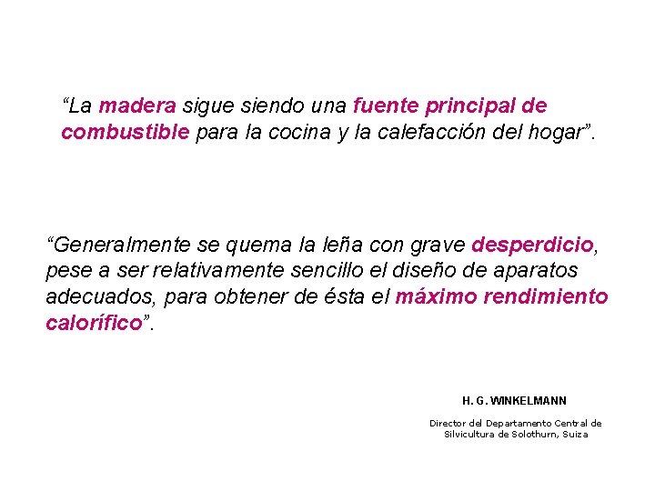 “La madera sigue siendo una fuente principal de combustible para la cocina y la