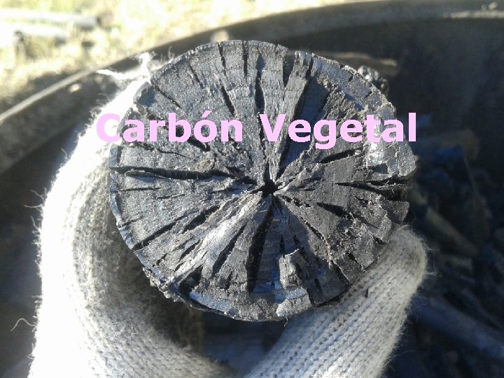 Carbón Vegetal 