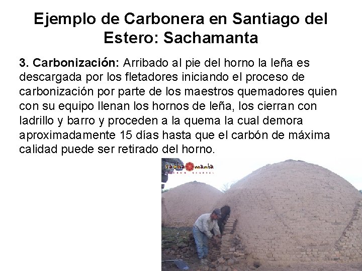 Ejemplo de Carbonera en Santiago del Estero: Sachamanta 3. Carbonización: Arribado al pie del