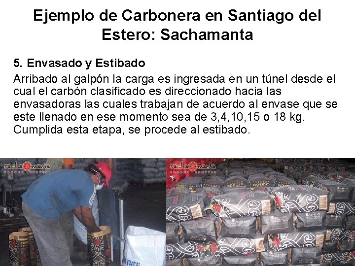 Ejemplo de Carbonera en Santiago del Estero: Sachamanta 5. Envasado y Estibado Arribado al