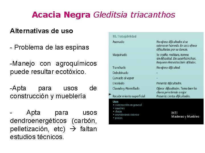 Acacia Negra Gleditsia triacanthos Alternativas de uso - Problema de las espinas -Manejo con