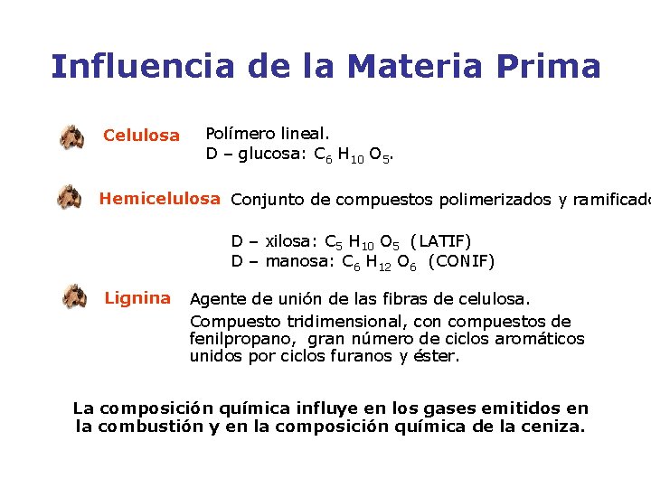 Influencia de la Materia Prima Celulosa Polímero lineal. D – glucosa: C 6 H