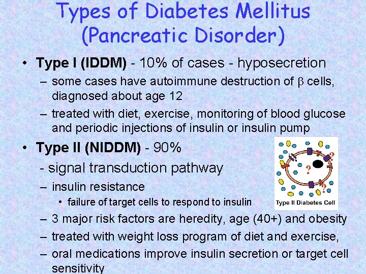 Types of Diabetes Mellitus (Pancreatic Disorder) • Type I (IDDM) - 10% of cases