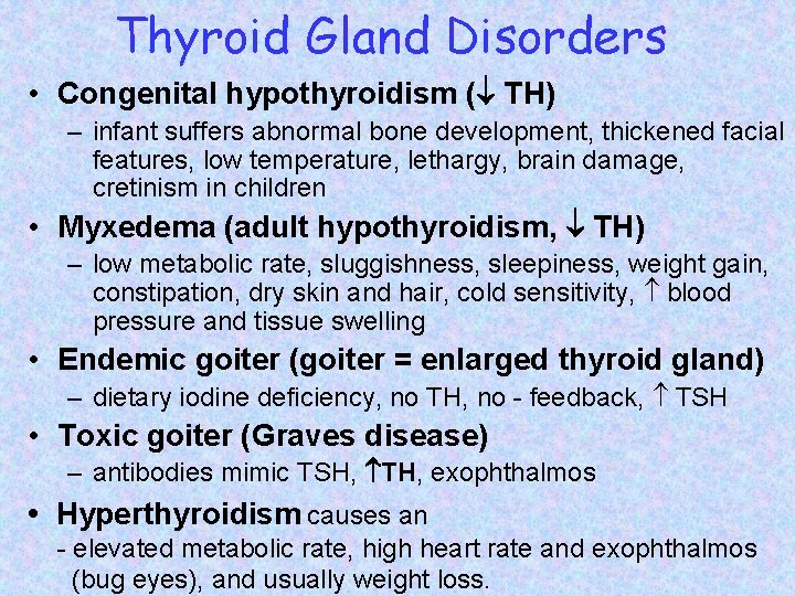 Thyroid Gland Disorders • Congenital hypothyroidism ( TH) – infant suffers abnormal bone development,