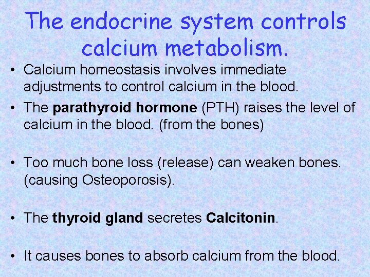 The endocrine system controls calcium metabolism. • Calcium homeostasis involves immediate adjustments to control