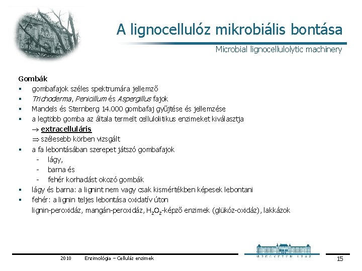 A lignocellulóz mikrobiális bontása Microbial lignocellulolytic machinery Gombák § gombafajok széles spektrumára jellemző § A lignocellulóz mikrobiális bontása Microbial lignocellulolytic machinery Gombák § gombafajok széles spektrumára jellemző §