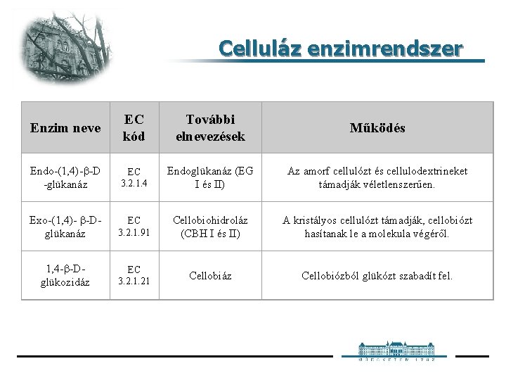 Celluláz enzimrendszer Enzim neve EC kód További elnevezések Működés Endo-(1, 4)- -D -glükanáz EC Celluláz enzimrendszer Enzim neve EC kód További elnevezések Működés Endo-(1, 4)- -D -glükanáz EC
