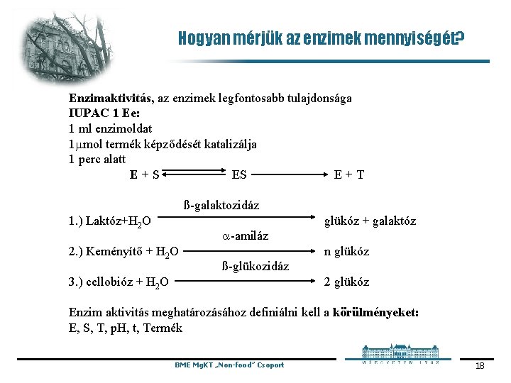 Hogyan mérjük az enzimek mennyiségét? Enzimaktivitás, az enzimek legfontosabb tulajdonsága IUPAC 1 Ee: 1 Hogyan mérjük az enzimek mennyiségét? Enzimaktivitás, az enzimek legfontosabb tulajdonsága IUPAC 1 Ee: 1