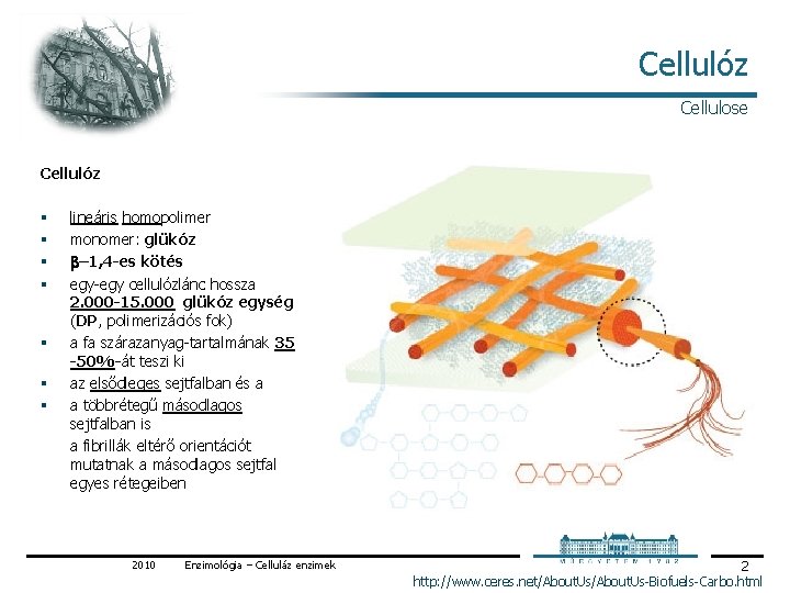 Cellulóz Cellulose Cellulóz § § § § lineáris homopolimer monomer: glükóz b– 1, 4 Cellulóz Cellulose Cellulóz § § § § lineáris homopolimer monomer: glükóz b– 1, 4
