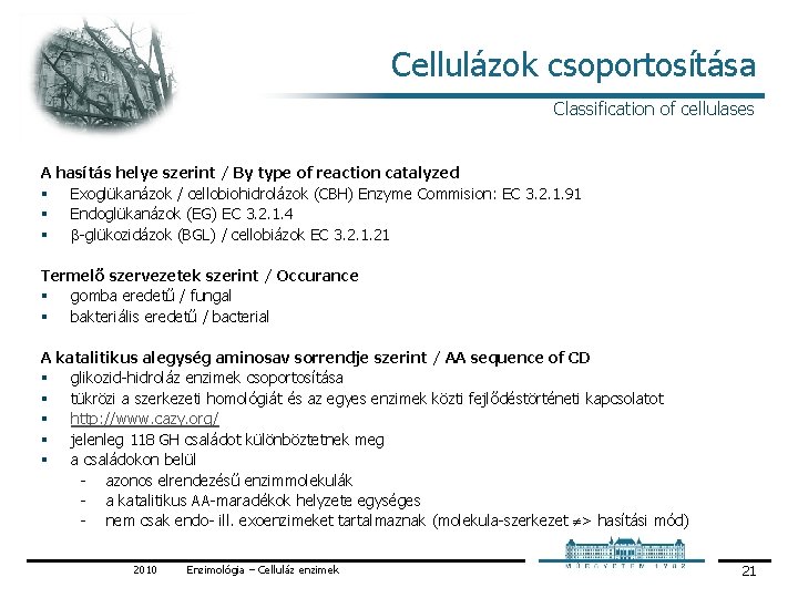 Cellulázok csoportosítása Classification of cellulases A hasítás helye szerint / By type of reaction Cellulázok csoportosítása Classification of cellulases A hasítás helye szerint / By type of reaction