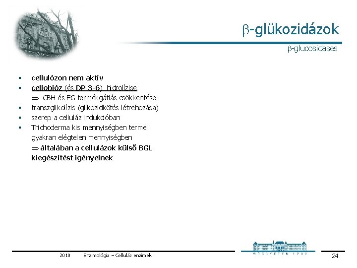 glükozidázok glucosidases § § § cellulózon nem aktív cellobióz (és DP 3 -6) glükozidázok glucosidases § § § cellulózon nem aktív cellobióz (és DP 3 -6)