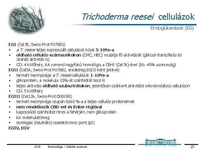 Trichoderma reesei cellulázok Endoglükanázok (EG) EGI (Cel 7 B, Swiss Prot P 07981) § Trichoderma reesei cellulázok Endoglükanázok (EG) EGI (Cel 7 B, Swiss Prot P 07981) §