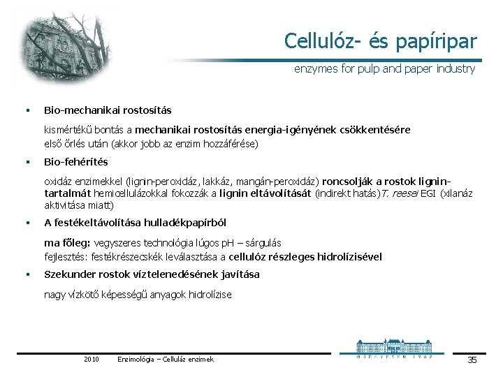 Cellulóz és papíripar enzymes for pulp and paper industry § Bio-mechanikai rostosítás kismértékű bontás Cellulóz és papíripar enzymes for pulp and paper industry § Bio-mechanikai rostosítás kismértékű bontás