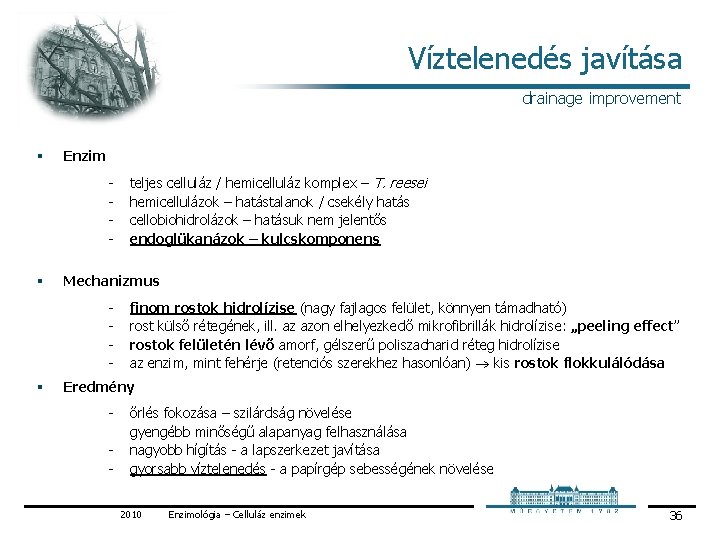 Víztelenedés javítása drainage improvement § Enzim § Mechanizmus § teljes celluláz / hemicelluláz komplex Víztelenedés javítása drainage improvement § Enzim § Mechanizmus § teljes celluláz / hemicelluláz komplex