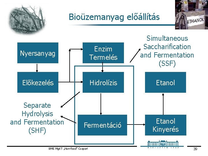 Bioüzemanyag előállítás Nyersanyag Enzim Termelés Simultaneous Saccharification and Fermentation (SSF) Előkezelés Hidrolízis Etanol Fermentáció Bioüzemanyag előállítás Nyersanyag Enzim Termelés Simultaneous Saccharification and Fermentation (SSF) Előkezelés Hidrolízis Etanol Fermentáció
