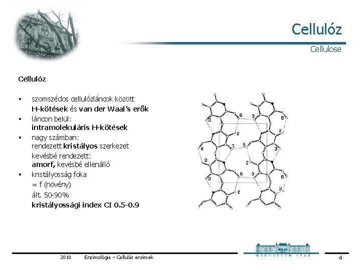 Cellulóz Cellulose Cellulóz § § szomszédos cellulózláncok között H-kötések és van der Waal’s erők Cellulóz Cellulose Cellulóz § § szomszédos cellulózláncok között H-kötések és van der Waal’s erők