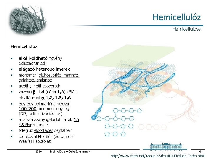 Hemicellulóz Hemicellulose Hemicellulóz § § § § § alkáli-oldható növényi poliszacharidok elágazó heteropolimerek monomer: Hemicellulóz Hemicellulose Hemicellulóz § § § § § alkáli-oldható növényi poliszacharidok elágazó heteropolimerek monomer: