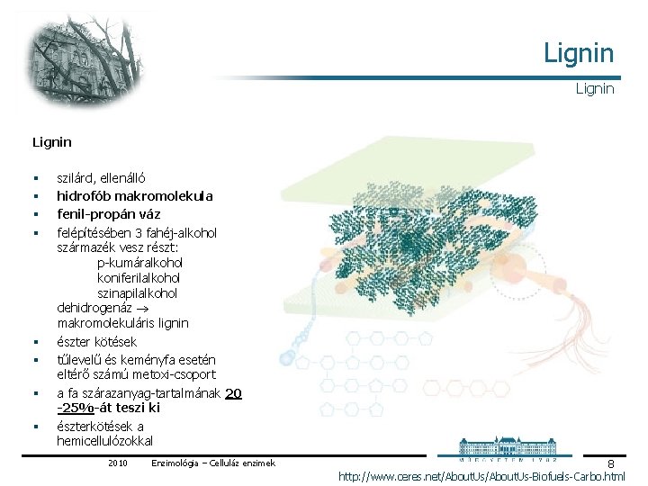 Lignin § § § § szilárd, ellenálló hidrofób makromolekula fenil-propán váz felépítésében 3 fahéj Lignin § § § § szilárd, ellenálló hidrofób makromolekula fenil-propán váz felépítésében 3 fahéj