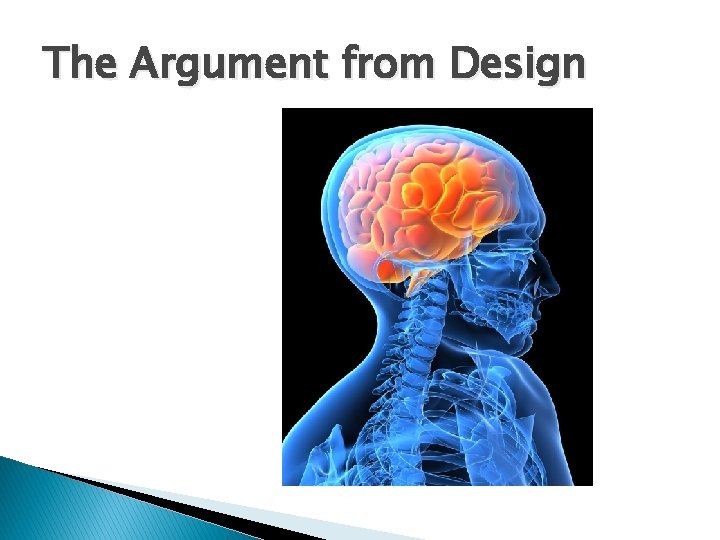 The Argument from Design 