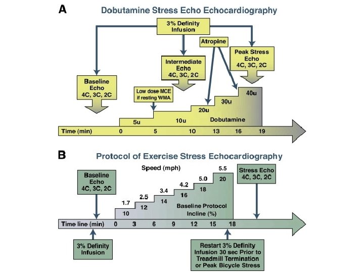 Exercise Stress Test Protocol 