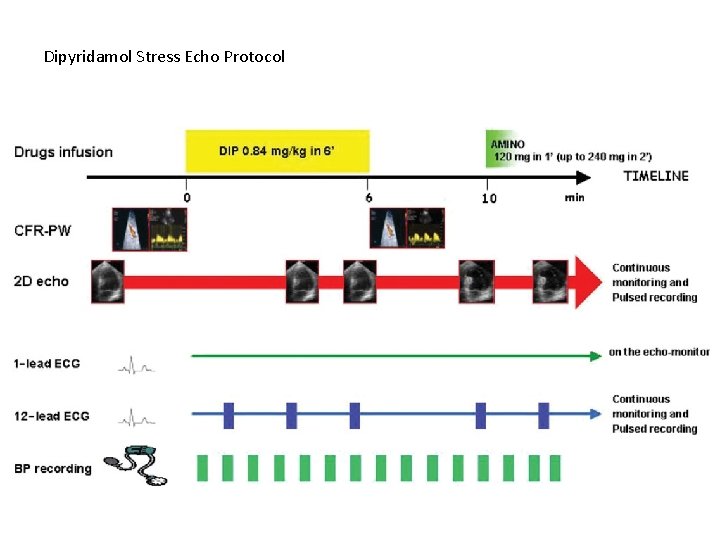 Dipyridamol Stress Echo Protocol 