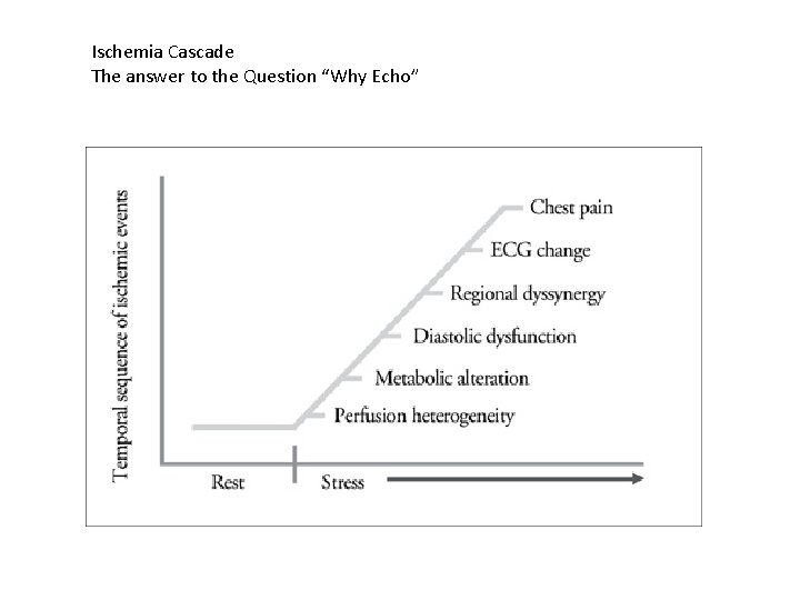 Ischemia Cascade The answer to the Question “Why Echo” 