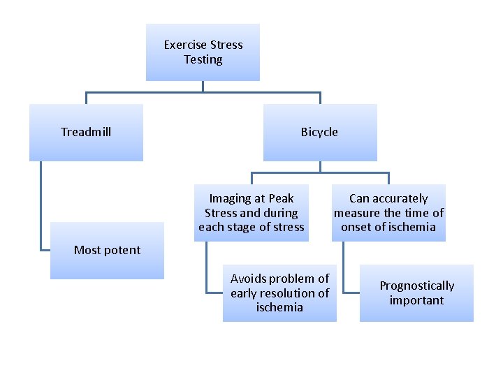 Exercise Stress Testing Treadmill Bicycle Imaging at Peak Stress and during each stage of