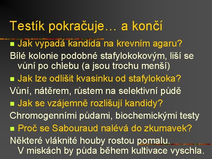 Testík pokračuje… a končí Jak vypadá kandida na krevním agaru? Bílé kolonie podobné stafylokokovým,