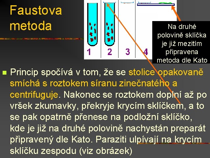 Faustova metoda n Na druhé polovině sklíčka je již mezitím připravena metoda dle Kato