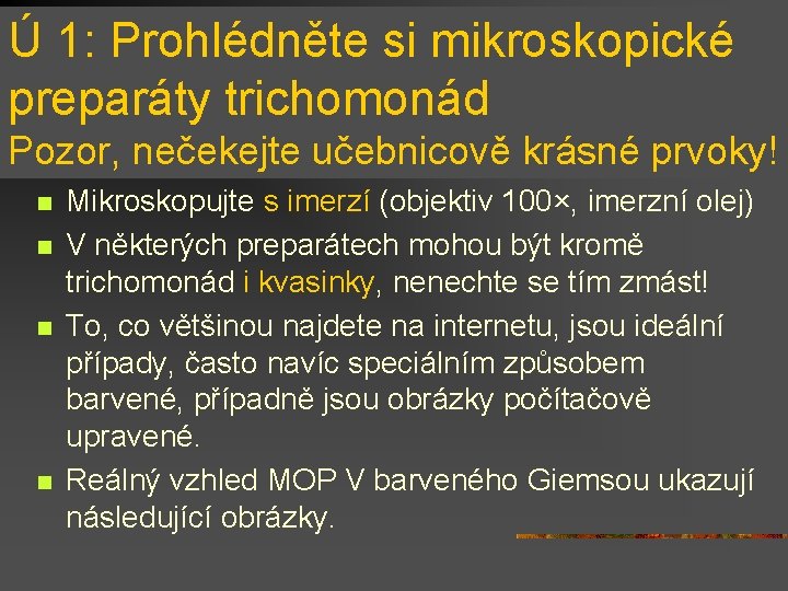 Ú 1: Prohlédněte si mikroskopické preparáty trichomonád Pozor, nečekejte učebnicově krásné prvoky! n n