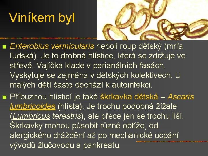 Viníkem byl n n Enterobius vermicularis neboli roup dětský (mrľa ľudská). Je to drobná