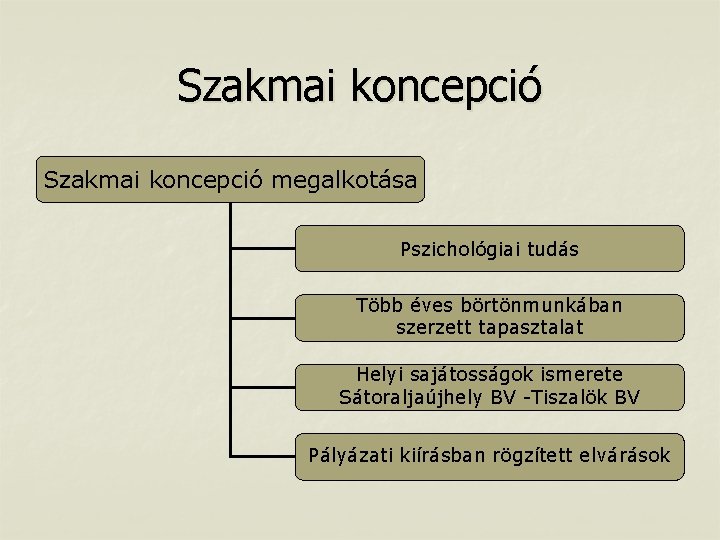 Szakmai koncepció megalkotása Pszichológiai tudás Több éves börtönmunkában szerzett tapasztalat Helyi sajátosságok ismerete Sátoraljaújhely