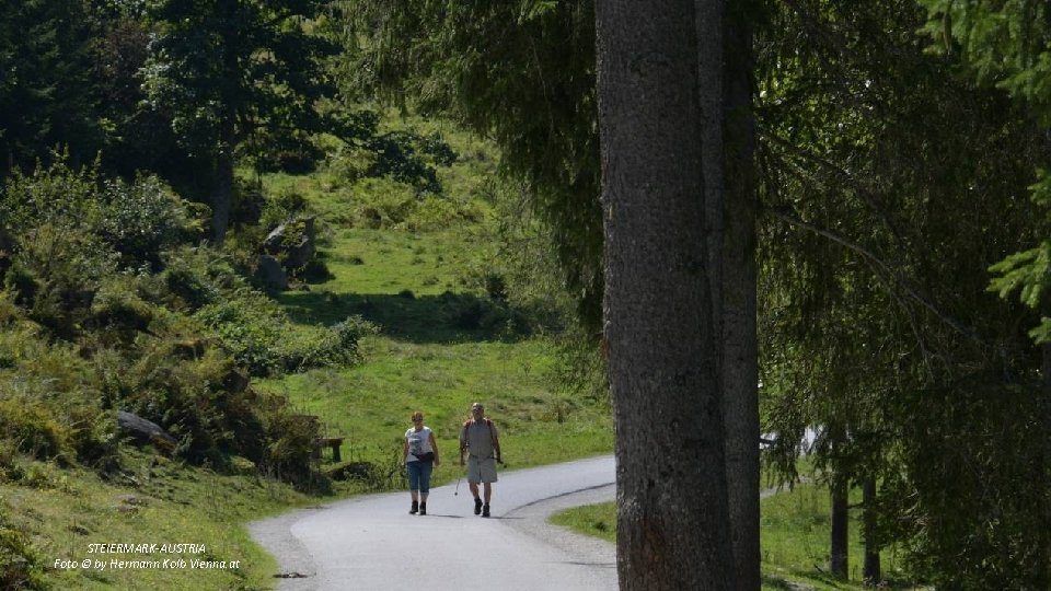 STEIERMARK-AUSTRIA Foto © by Hermann Kolb Vienna. at 