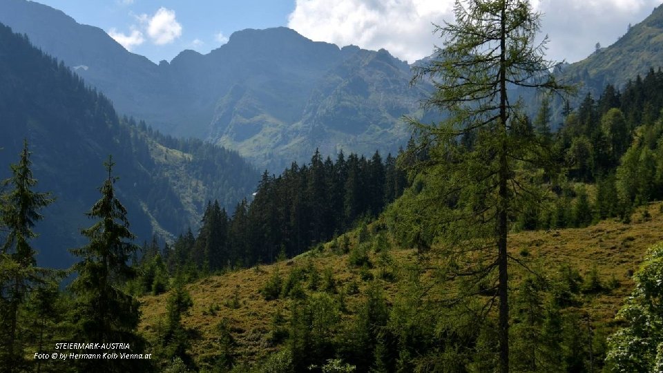 STEIERMARK-AUSTRIA Foto © by Hermann Kolb Vienna. at 