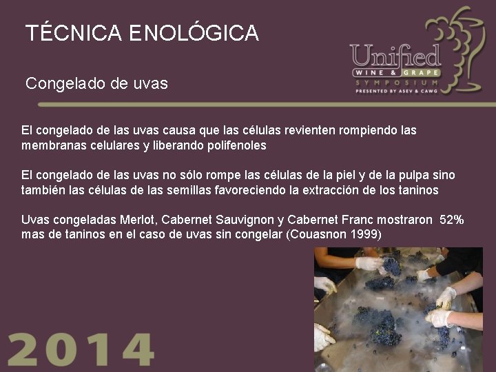 TÉCNICA ENOLÓGICA Congelado de uvas El congelado de las uvas causa que las células