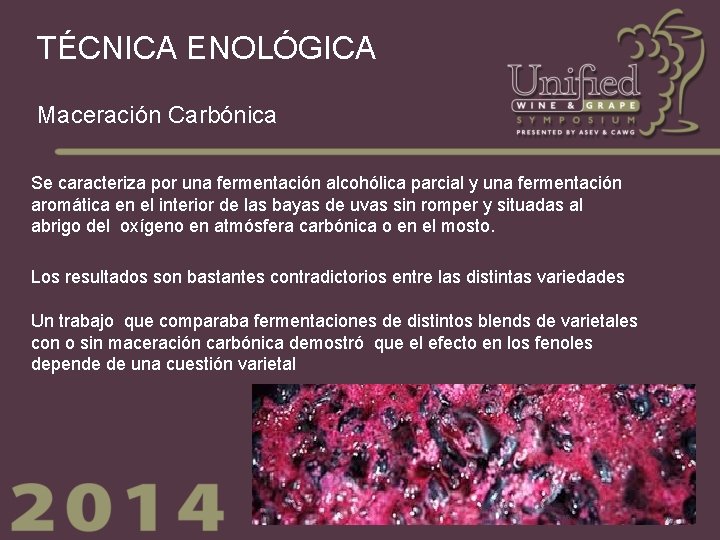 TÉCNICA ENOLÓGICA Maceración Carbónica Se caracteriza por una fermentación alcohólica parcial y una fermentación