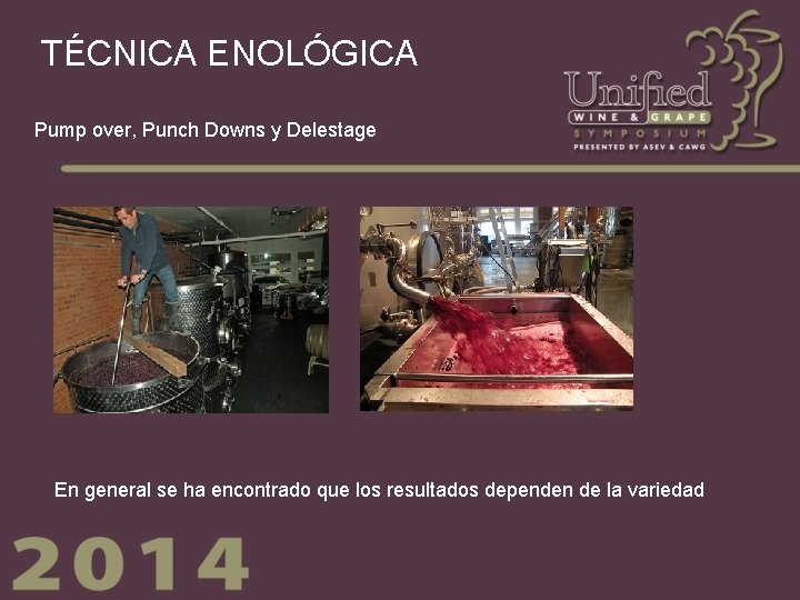 TÉCNICA ENOLÓGICA Pump over, Punch Downs y Delestage En general se ha encontrado que