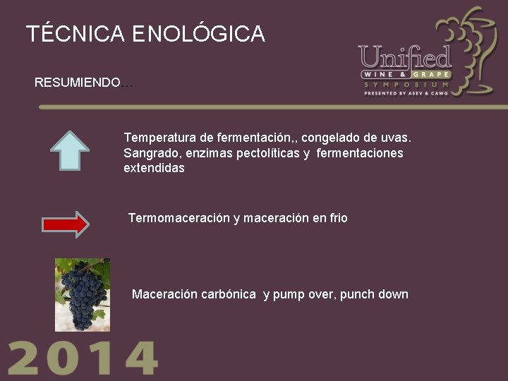 TÉCNICA ENOLÓGICA RESUMIENDO… Temperatura de fermentación, , congelado de uvas. Sangrado, enzimas pectolíticas y