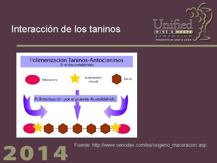 Interacción de los taninos Fuente: http: //www. oenodev. com/es/oxigeno_maceracion. asp 