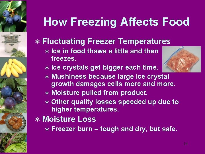 How Freezing Affects Food ô Fluctuating Freezer Temperatures Ü Ice in food thaws a