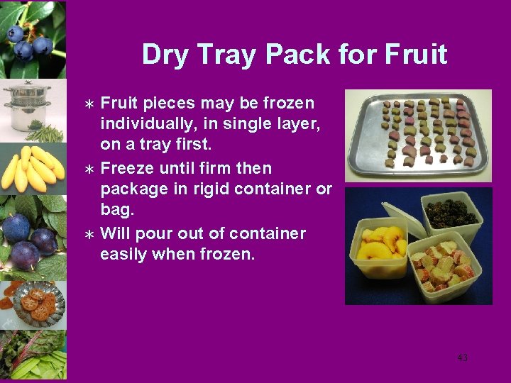 Dry Tray Pack for Fruit pieces may be frozen individually, in single layer, on