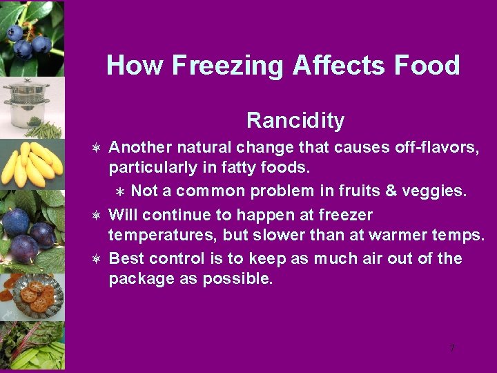 How Freezing Affects Food Rancidity ô Another natural change that causes off-flavors, particularly in